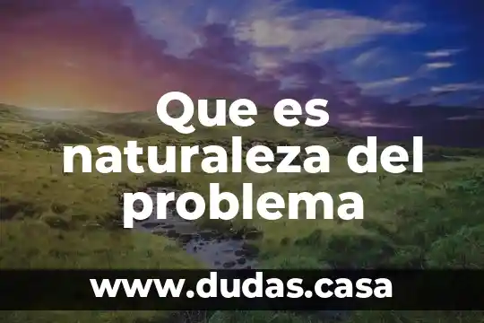 Que es naturaleza del problema