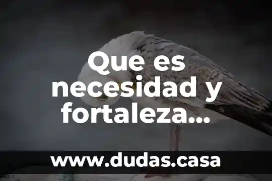 Que es necesidad y fortaleza educativa