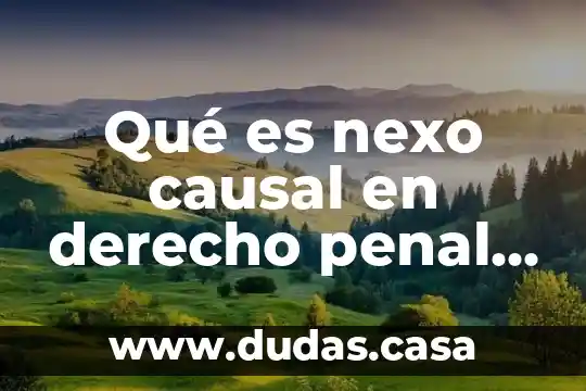 Qué es nexo causal en derecho penal unam