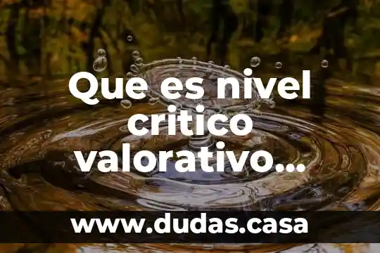 Que es nivel critico valorativo ejemplos