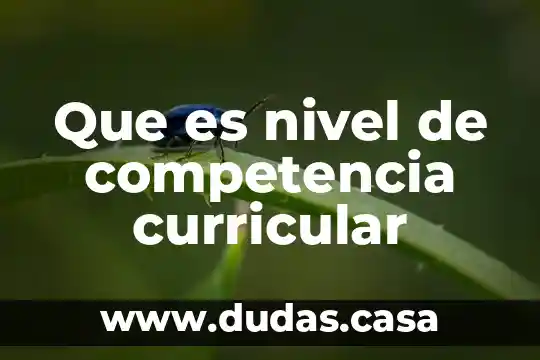 Que es nivel de competencia curricular