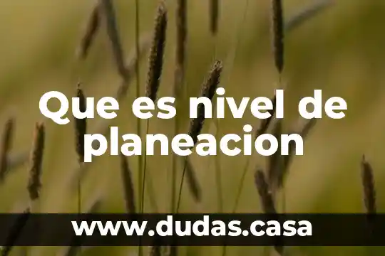 Que es nivel de planeacion
