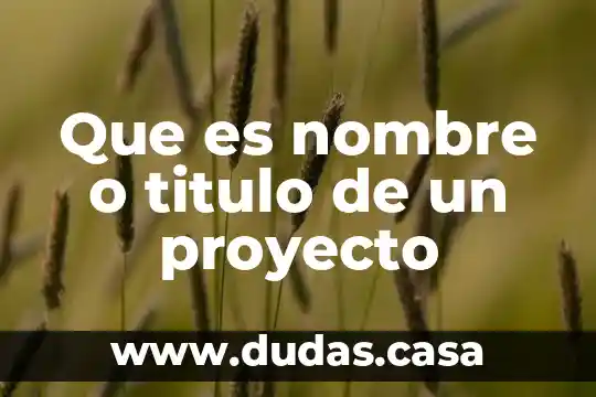 Que es nombre o titulo de un proyecto