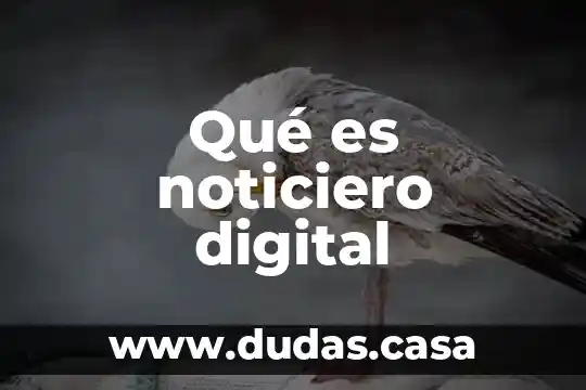 Qué es noticiero digital