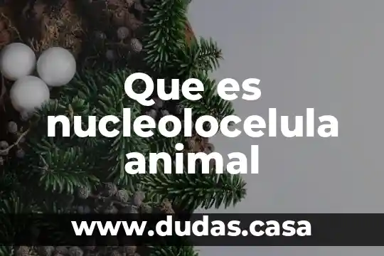 Que es nucleolocelula animal