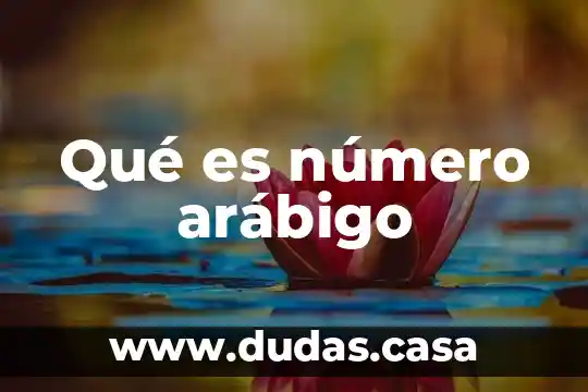 Qué es número arábigo