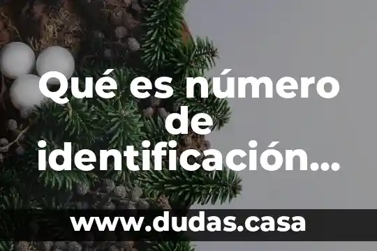 Qué es número de identificación tributario