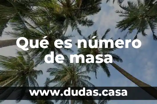 Qué es número de masa