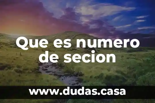 Que es numero de secion