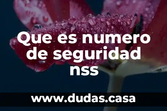 Que es numero de seguridad nss