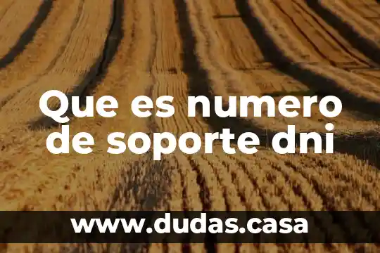 Que es numero de soporte dni
