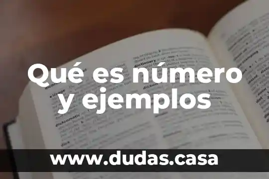 Qué es número y ejemplos