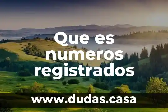 Que es numeros registrados