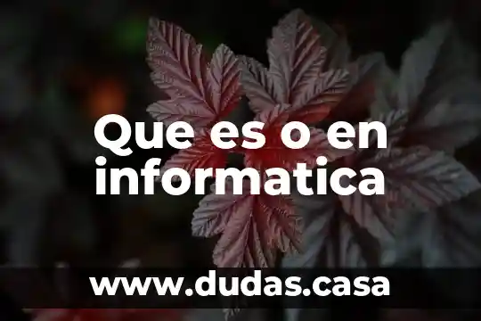Que es o en informatica