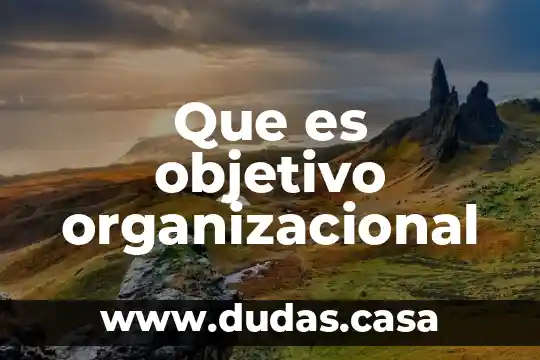 Que es objetivo organizacional