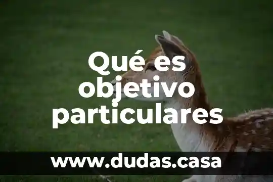 Qué es objetivo particulares