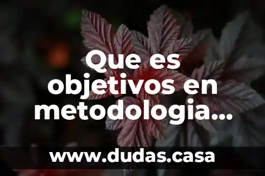 Que es objetivos en metodologia dela investigacion
