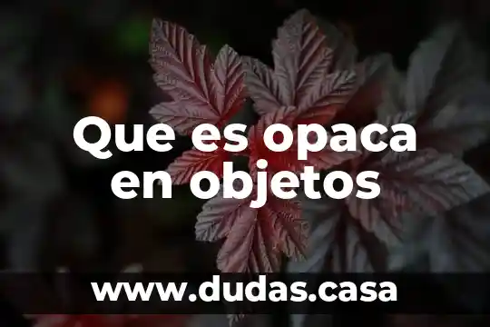 Que es opaca en objetos