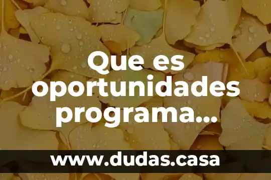 Que es oportunidades programa quien lo creo