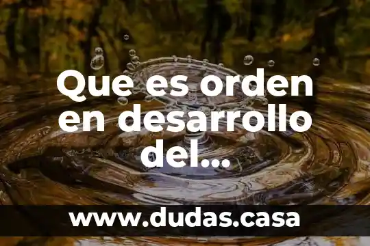 Que es orden en desarrollo del pensamiento