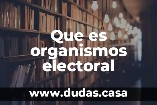 Que es organismos electoral