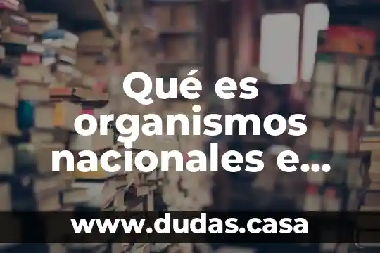 Qué es organismos nacionales e internacionales