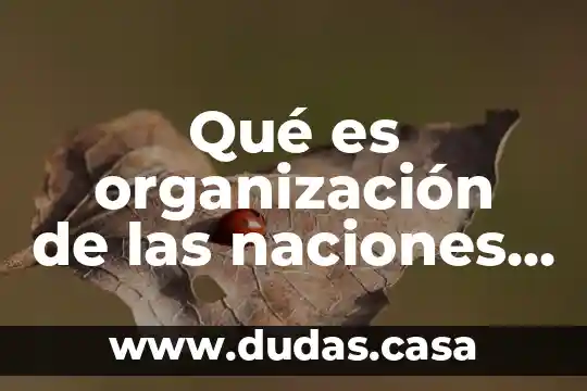 Que es el modelo de las naciones unidas 4 Qué es organización de las naciones unidas onu