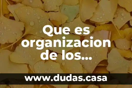 Que es organizacion de los aprendizajes 5to