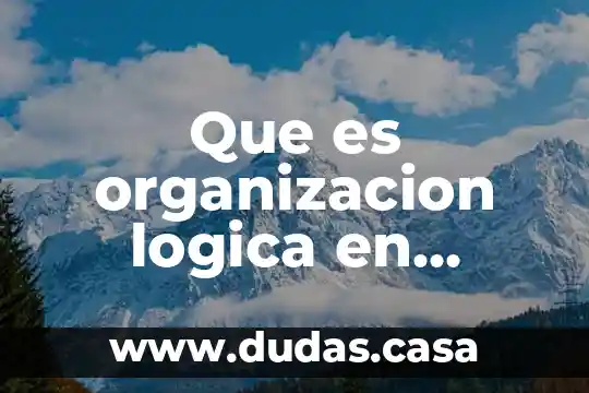 Que es organizacion logica en docencia