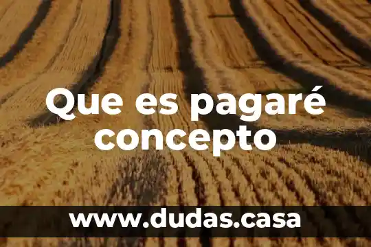Que es pagaré concepto