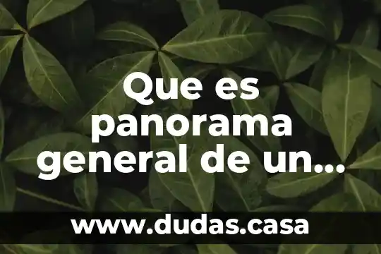 Que es panorama general de un proyecto
