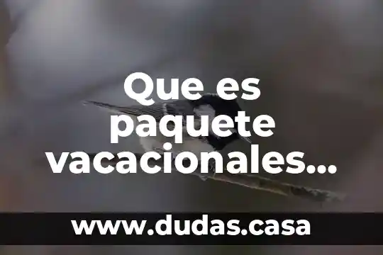Que es paquete vacacionales de mexico de playas