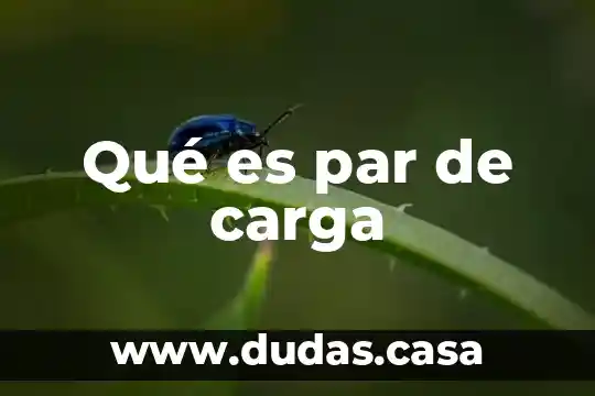 Qué es par de carga