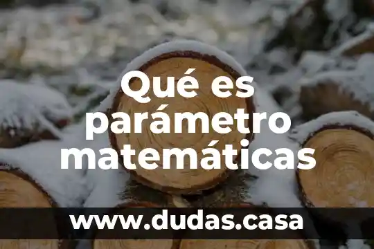Qué es parámetro matemáticas