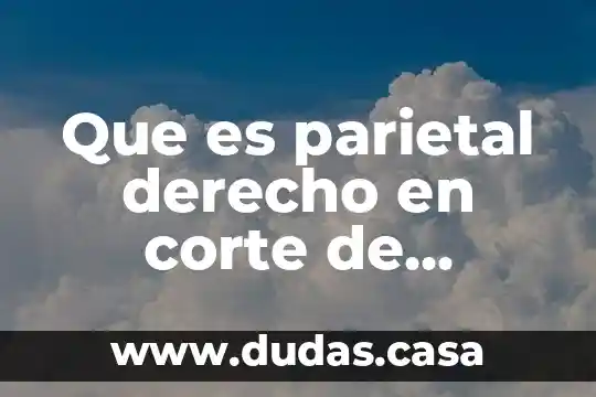 Que es parietal derecho en corte de cabello