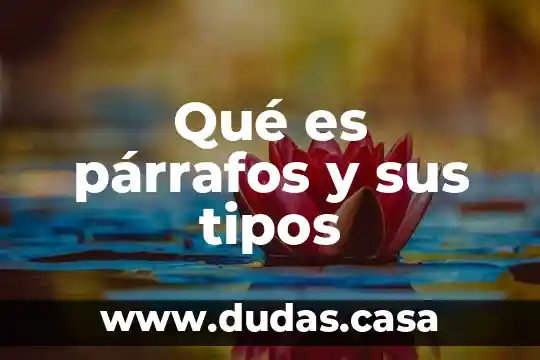 Qué es párrafos y sus tipos