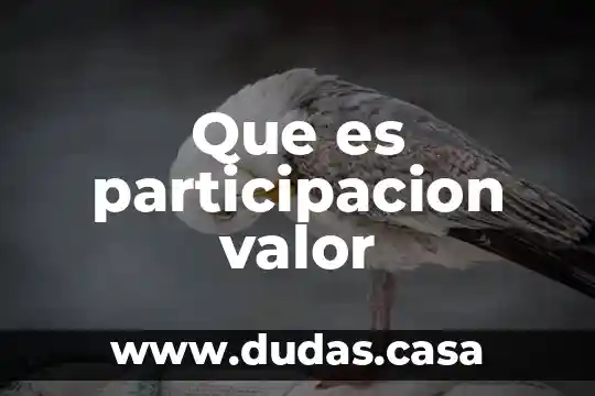 Que es participacion valor