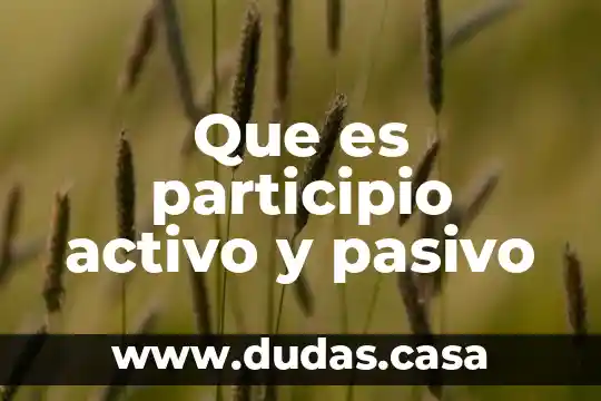 Que es participio activo y pasivo