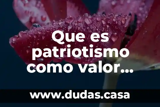 Que es patriotismo como valor para colorear
