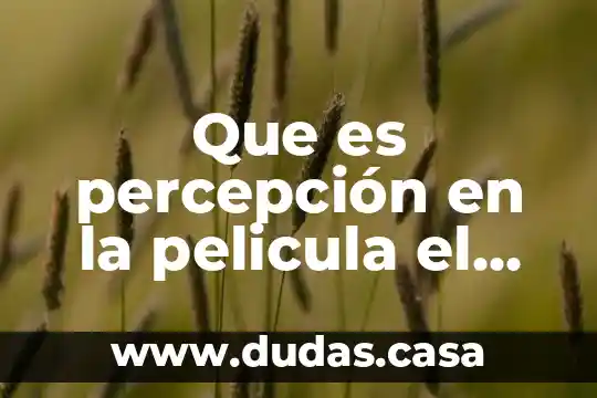 Que es percepción en la pelicula el amor es ciego