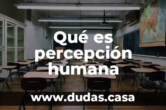 Qué es percepción humana