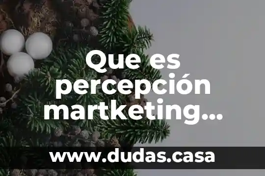 Que es percepción martketing autores