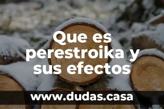 Que es perestroika y sus efectos