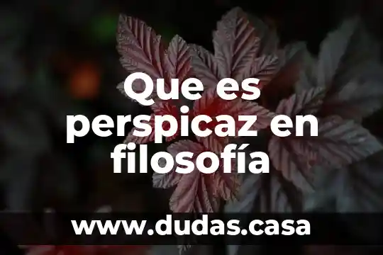 Que es perspicaz en filosofía