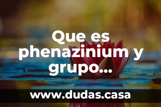Que es phenazinium y grupo phenothiazinium