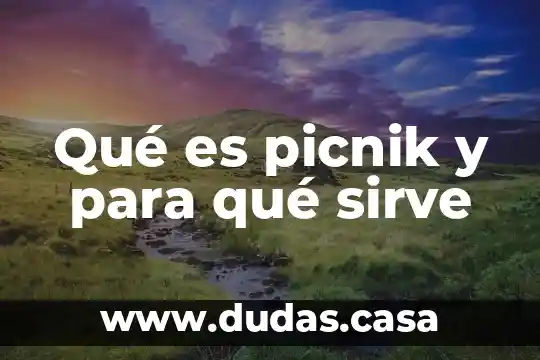 Qué es picnik y para qué sirve