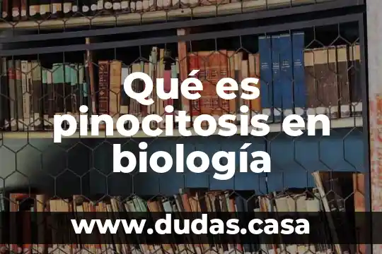 Qué es pinocitosis en biología