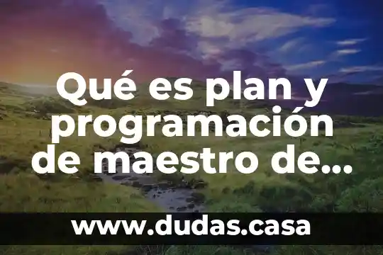 Qué es plan y programación de maestro de producción