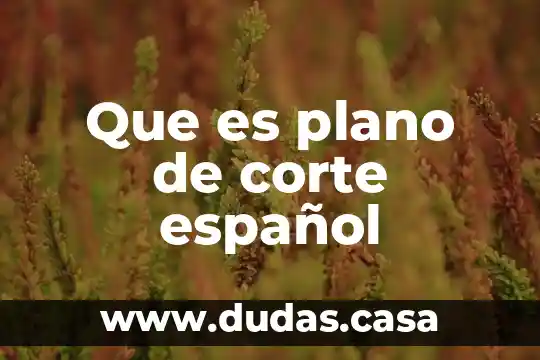 Que es plano de corte español