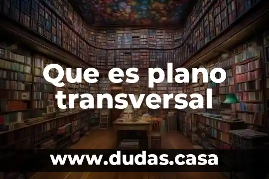 Que es plano transversal